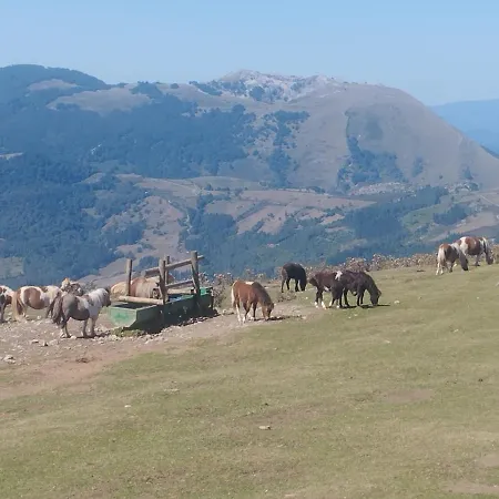 Otel Soraluze Hotela Oñate