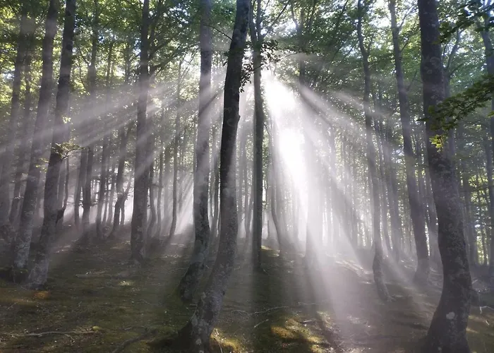 Soraluze Hotela Hotel 2*