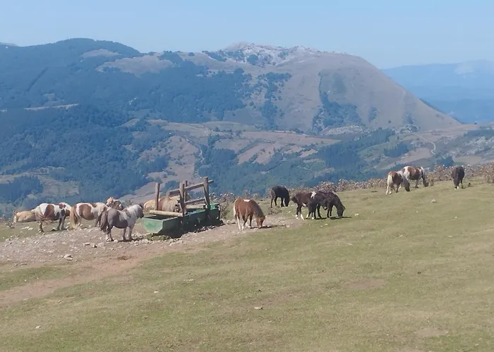Hotel Soraluze Hotela Oñate