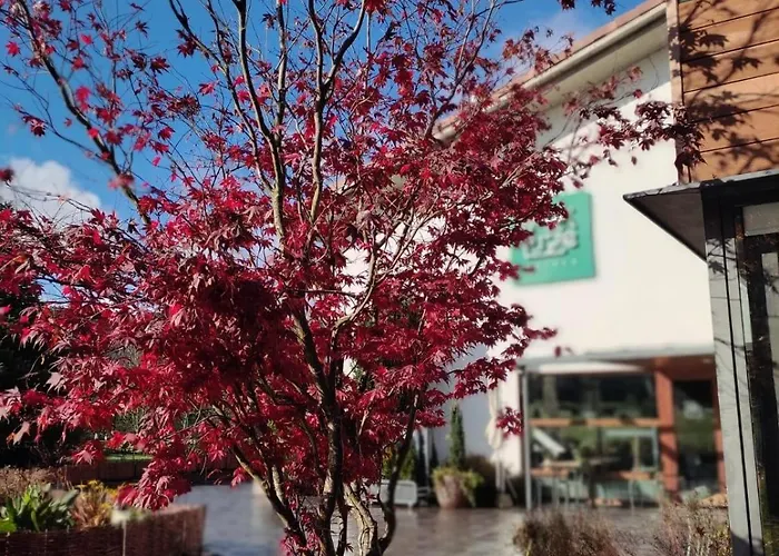 Soraluze Hotela Oñate